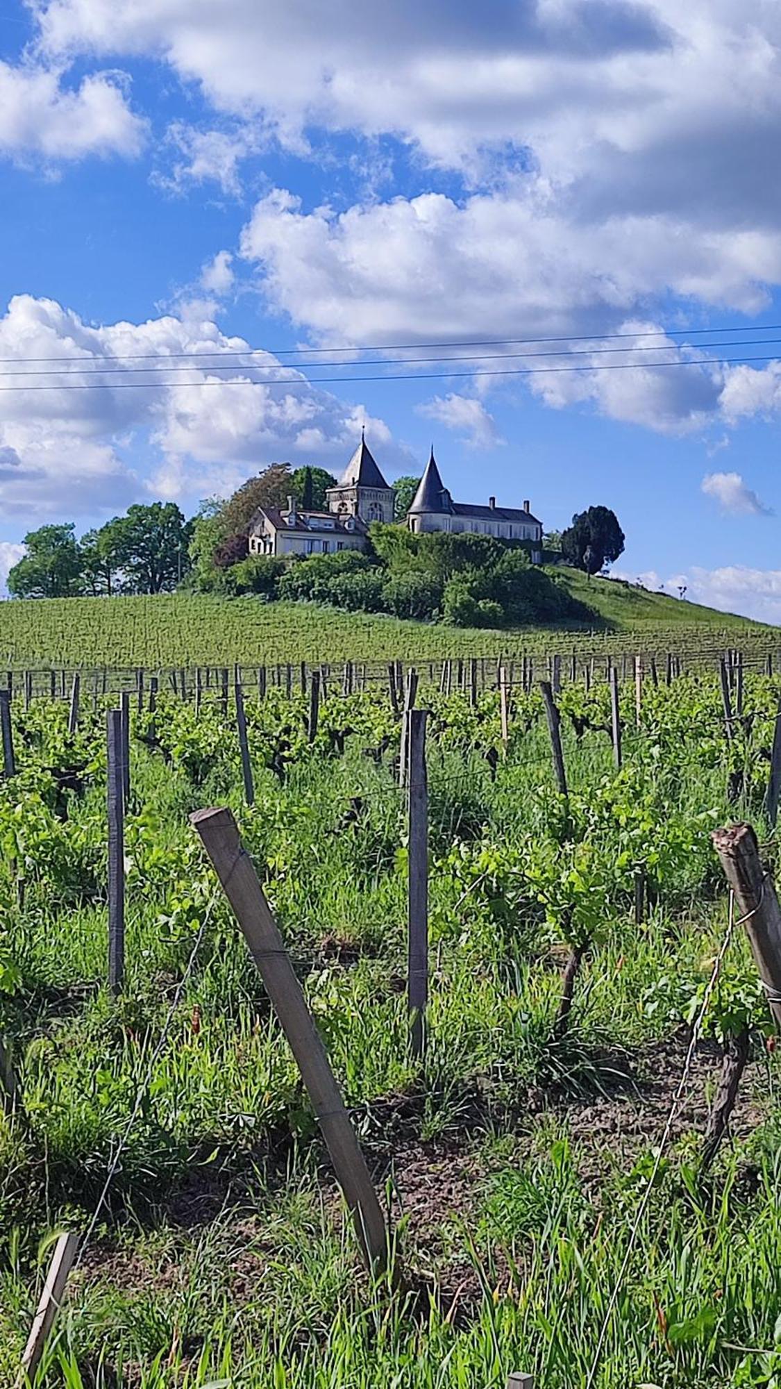 Maison Charmeilles - La Suite Pomerol Fronsac  Экстерьер фото