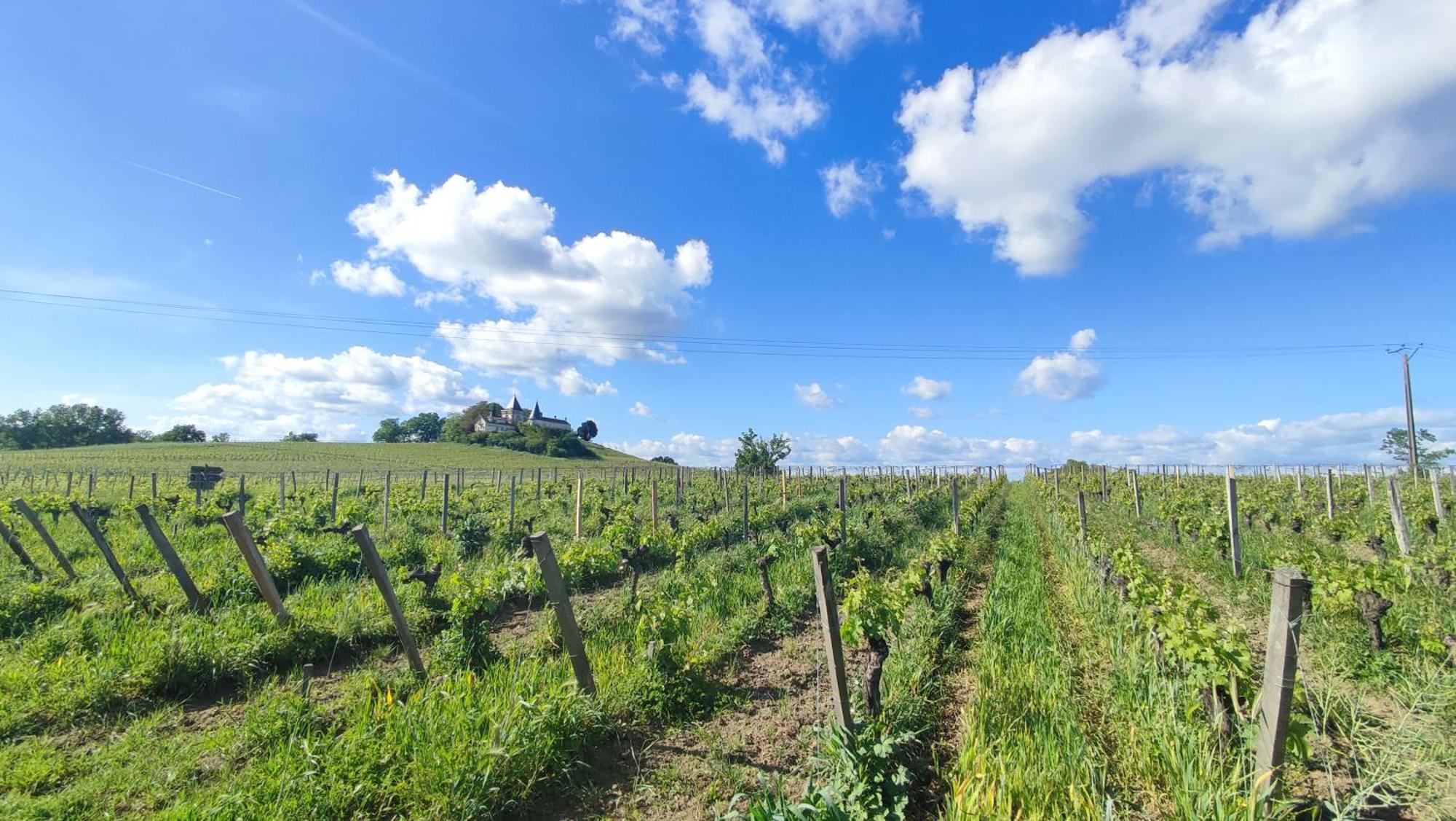 Maison Charmeilles - La Suite Pomerol Fronsac  Экстерьер фото